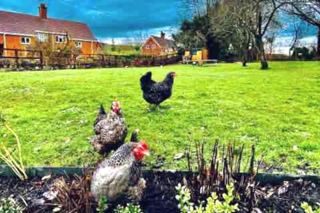 Stylish Cottage In The Pewsey Vale Marlborough Eksteriør bilde